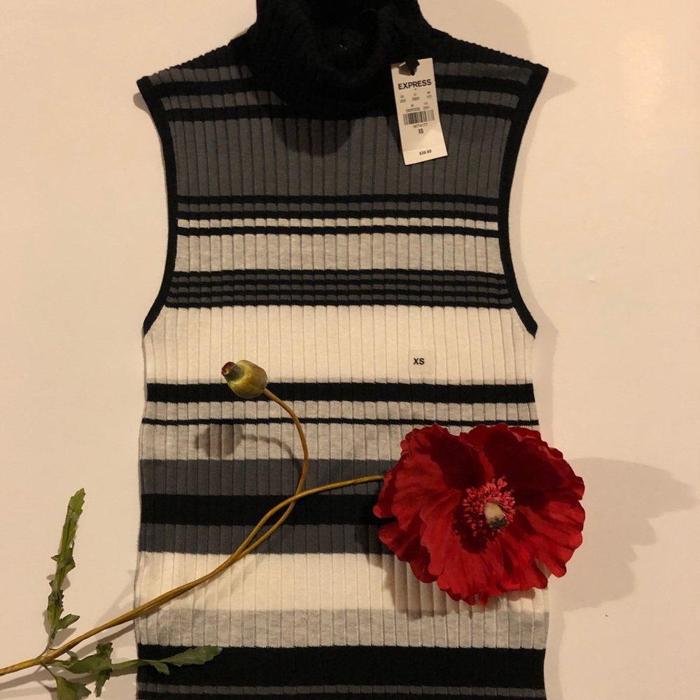 🌹EXPRESS Striped Sleeveless Turtleneck Sweater🌹